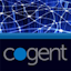 Cogent Communications Group Inc Logo